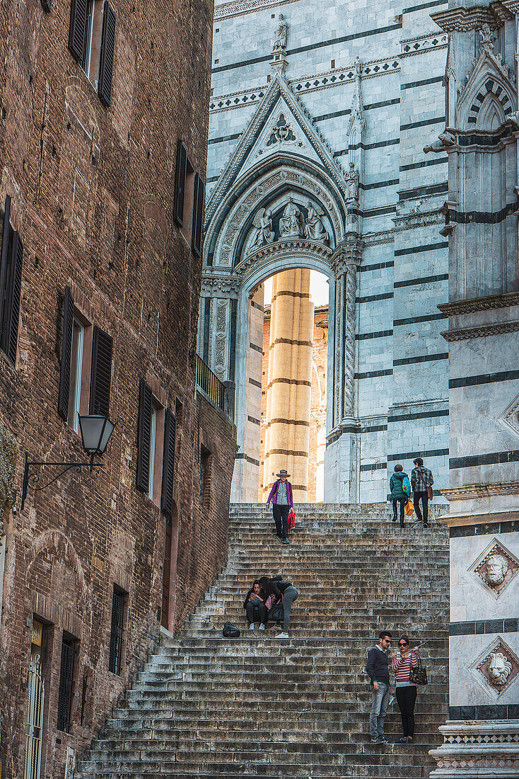 Treppe führt zum Dom von Siena, Siena, UNESCO Weltkulturerbe Siena, Toskana, Italien