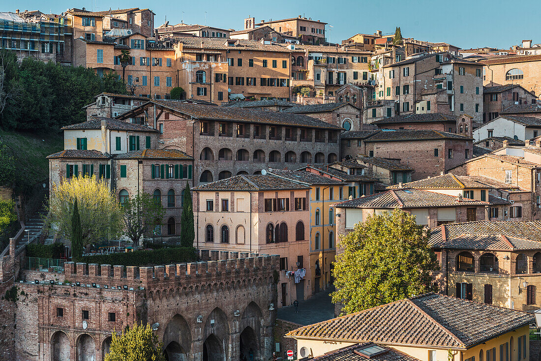 Blick auf Altstadt, Siena, Toskana, Italien, Europa