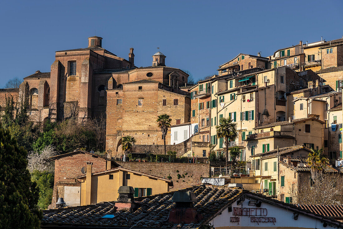 Siena, Tuscany, Italy, Europe