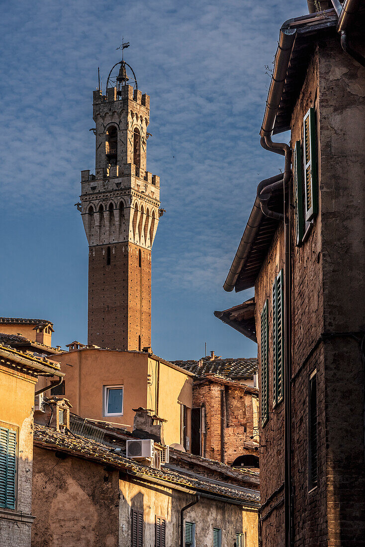 View of Torre del Mangia tower, Palazzo Pubblico town hall, Siena, Tuscany, Italy, Europe