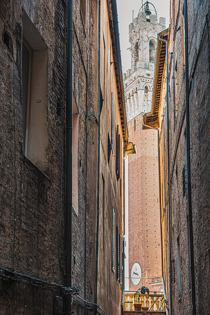 Blick durche Gasse auf den Turm Torre Del Mangia, Rathaus Palazzo Pubblico, Siena, Toskana, Italien, Europa
