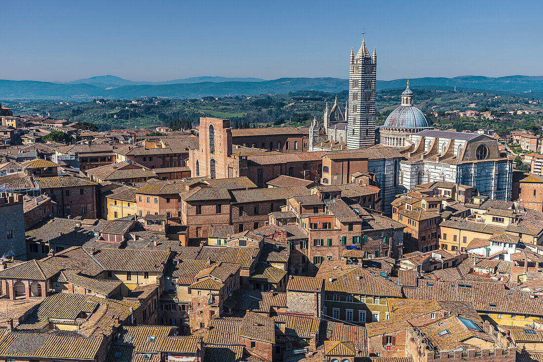 View of the Siena Cathedral from the Torre Del Mangia tower, Tuscany, Italy, Europe