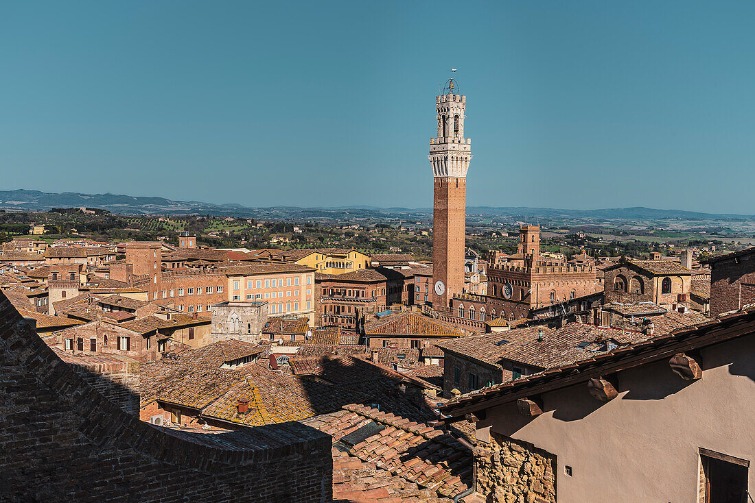 View of Torre del Mangia tower, Palazzo Pubblico town hall, Siena, Tuscany, Italy, Europe