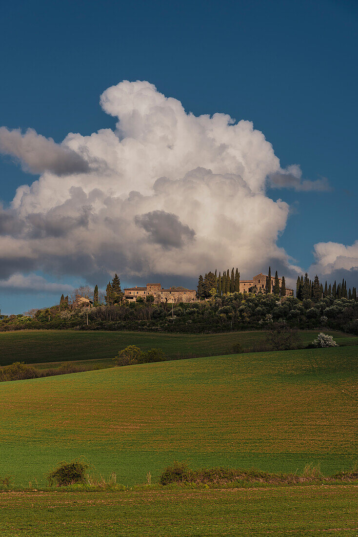 Landscape near Pienza, Val d'Orcia, Province of Siena, Tuscany, Italy, UNESCO World Heritage, Europe