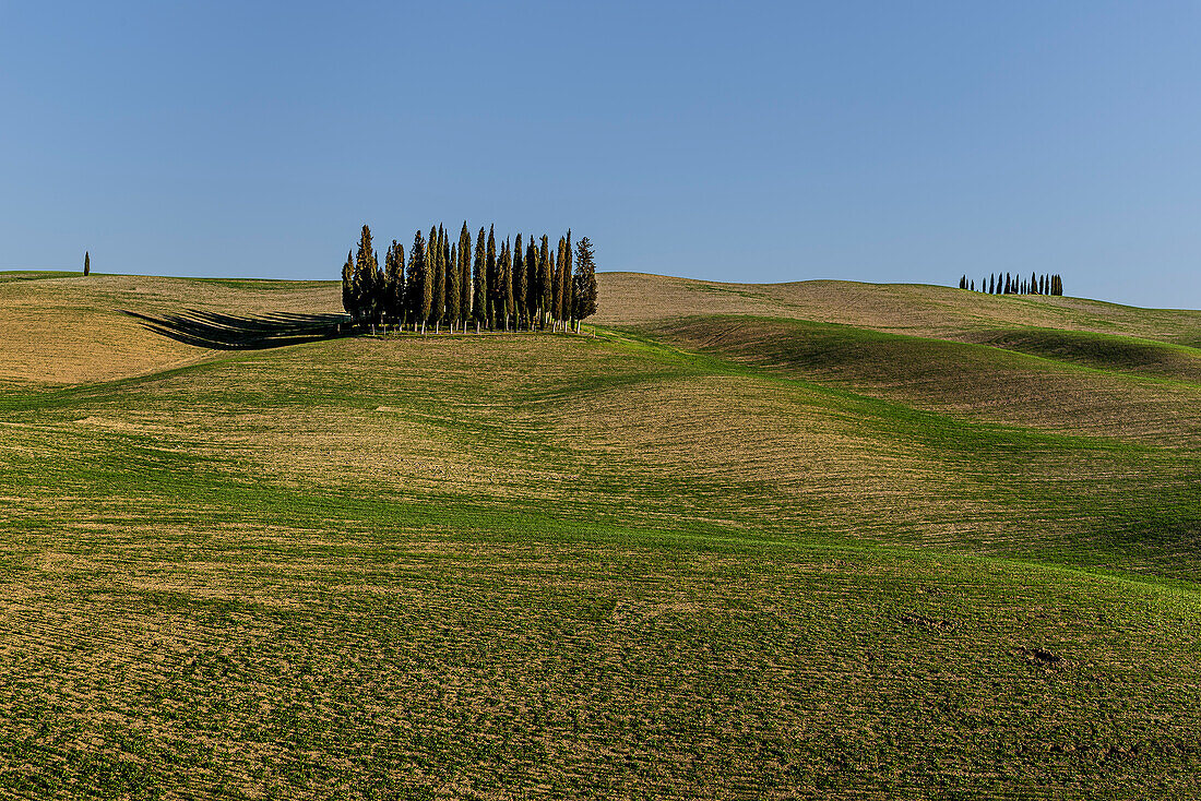 Tuscany, Italy, Europe