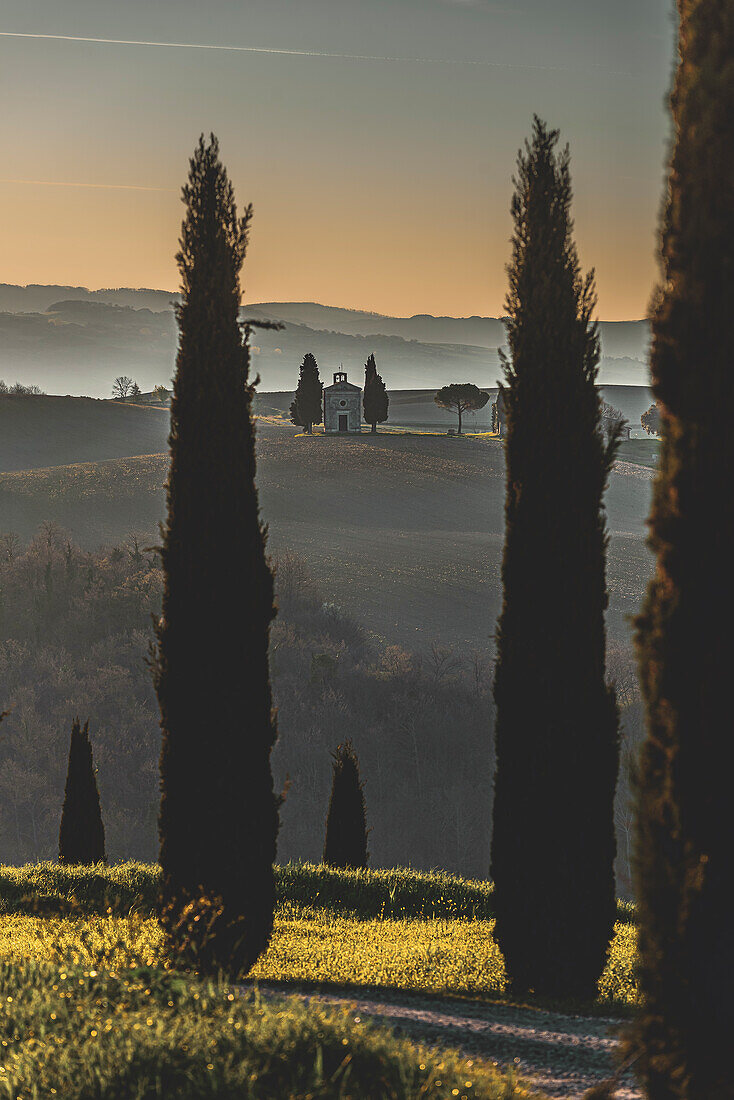 Die Kapelle Madonna di Vitaleta, Landschaft bei Pienza, Val d'Orcia, Provinz Siena, Toskana, Italien, UNESCO Welterbe,  Europa