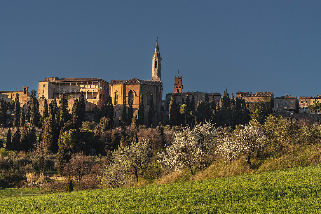 Pienza, Val d'Orcia, Province of Siena, Tuscany, Italy, UNESCO World Heritage, Europe