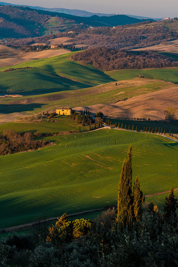 Landschaft bei Pienza, Val d'Orcia, Provinz Siena, Toskana, Italien, UNESCO Welterbe, Europa