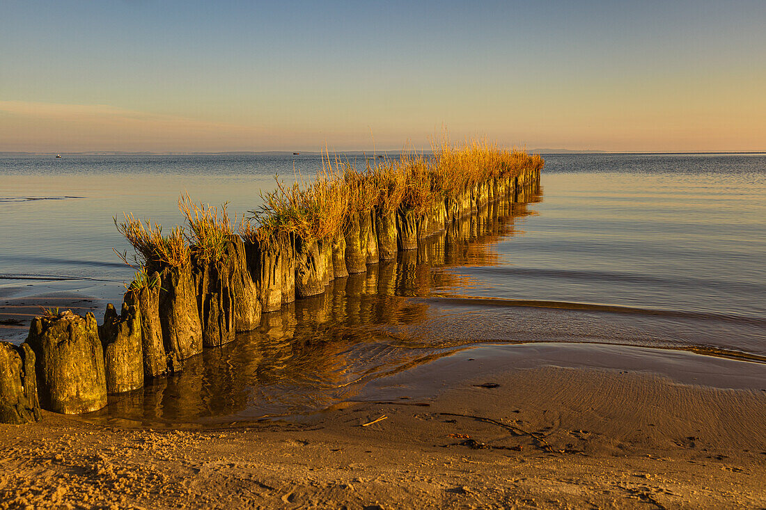 Buhnen an der Ostseeküste nähe Uckermünde bei Sonnenaufgang. Ostsee, Mecklenburg-Vorpommern,  Deutschland
