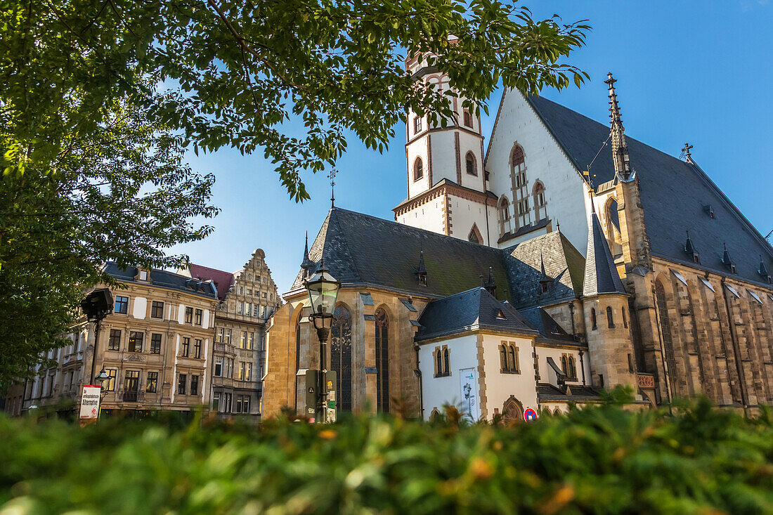 Blick auf die Thomaskirche in Leipzig, Sachsen, Ostdeutschland, Deutschland, Europa