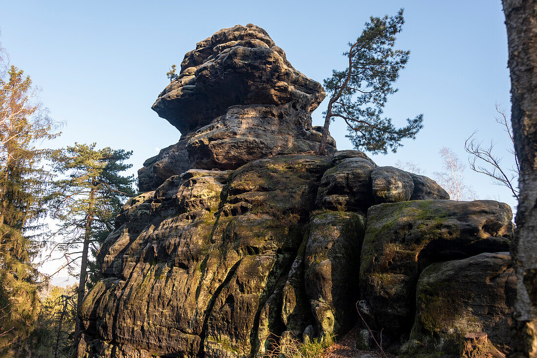 Sandstone rocks, Table Mountain Gohrisch, Elbe Sandstone Mountains, Gohrisch, Saxony, Germany