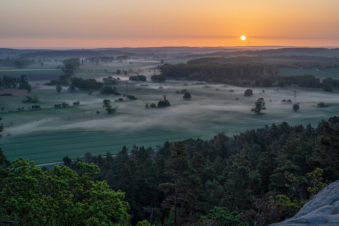 Sunrise with morning fog at the Teufelsmauer, Harz, Timmenrode, Saxony-Anhalt, Germany