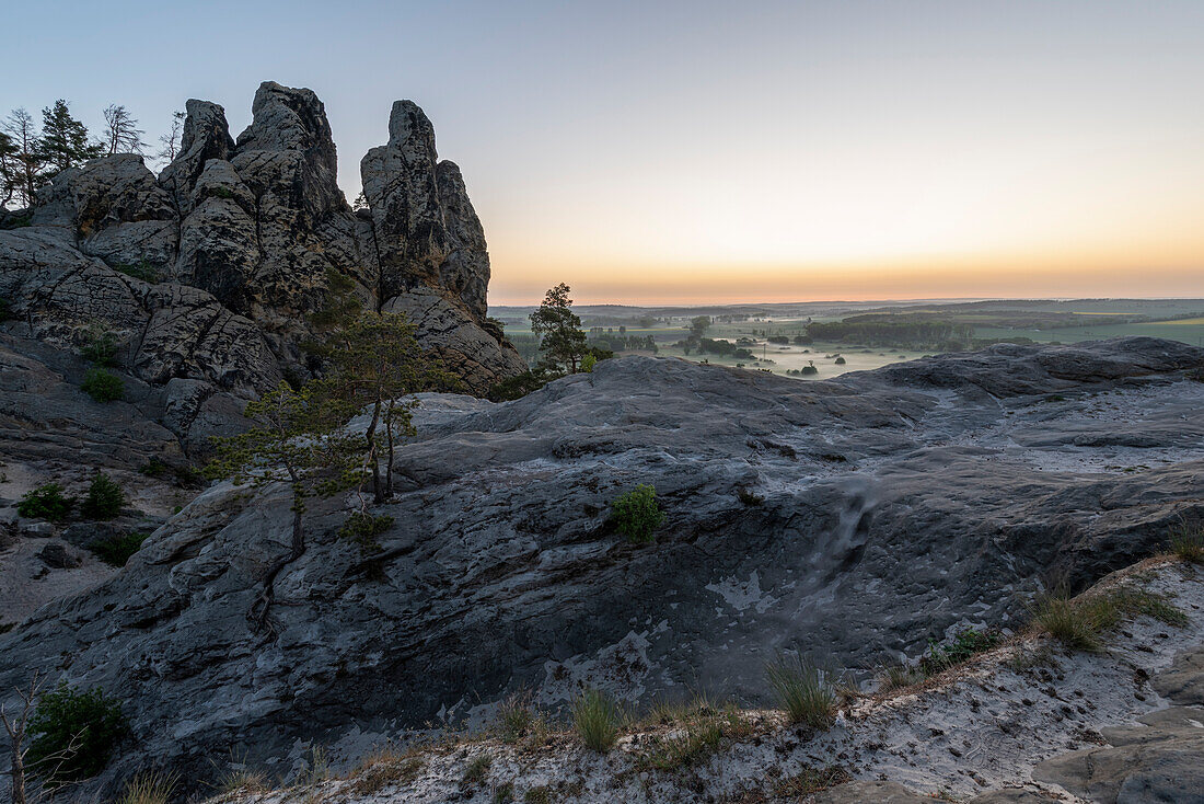 Hamburg coat of arms at sunrise, section of the Teufelsmauer in the Harz Mountains, Timmenrode, Saxony-Anhalt, Germany