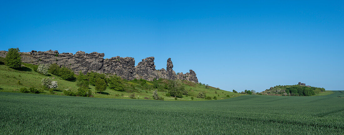 Teufelsmauer, grain field, Weddersleben, Saxony-Anhalt, Germany