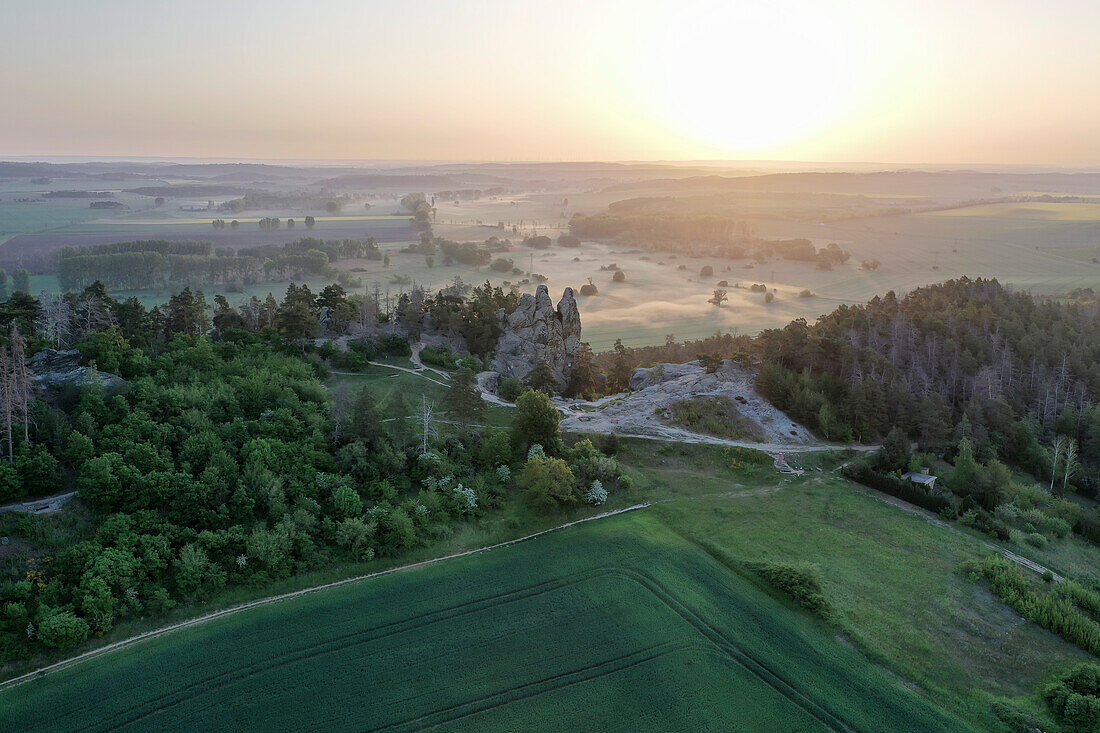 Hamburg coat of arms at sunrise, section of the Teufelsmauer in the Harz Mountains, Timmenrode, Saxony-Anhalt, Germany