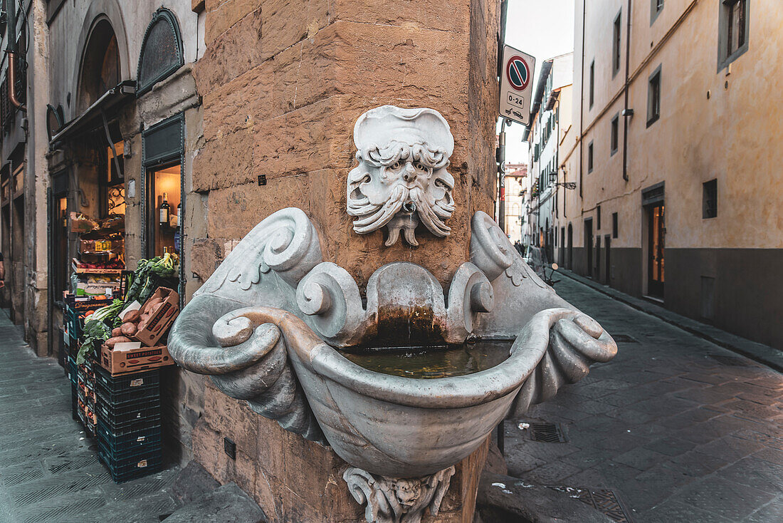 Greengrocery shop with fountain by Buontalenti on a street corner, Oltrarno district, Florence, Italy, Europe