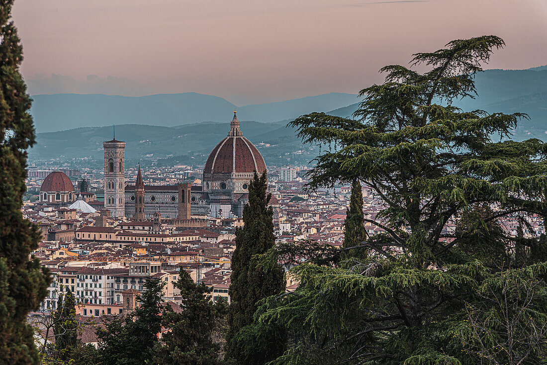 View from the rose garden Giardino delle Rose, Florence city panorama below from Piazzale Michelangelo, Tuscany, Italy, Europe