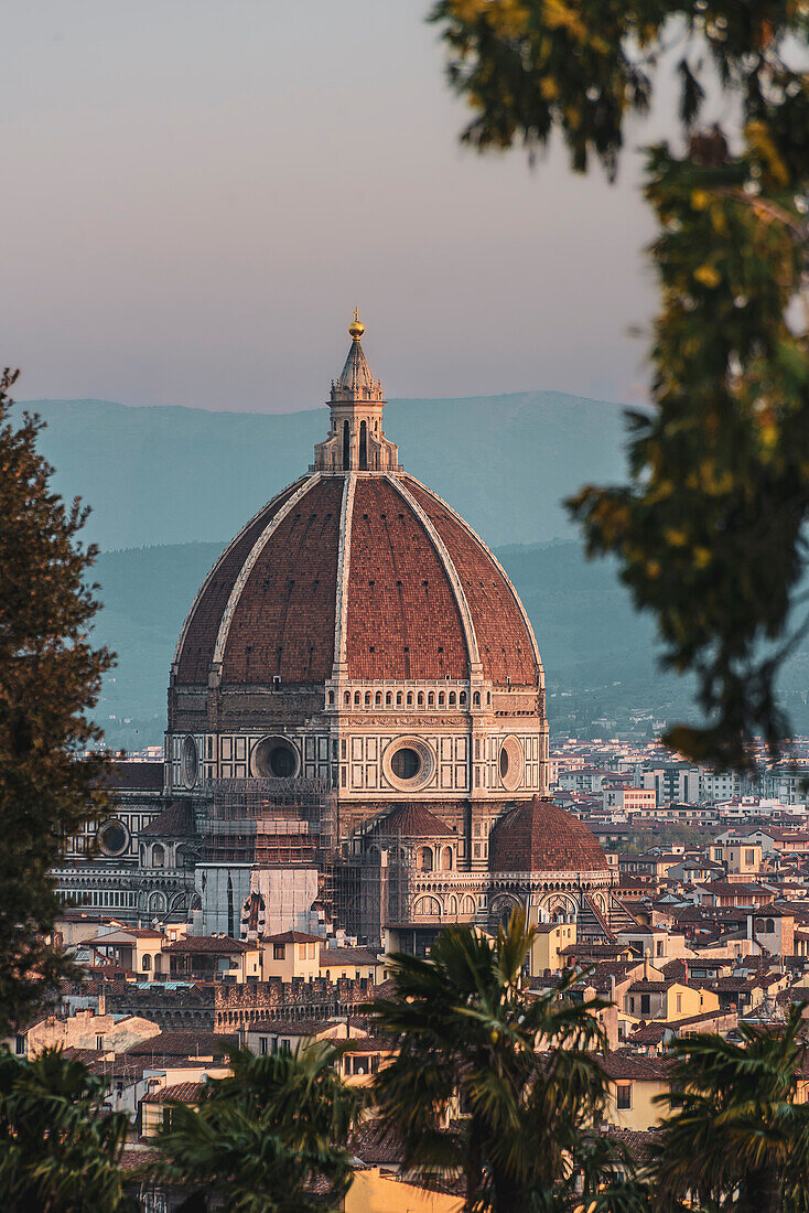 View of Cathedral, skyline, Florence city panorama from Piazzale Michelangelo, Tuscany, Italy, Europe