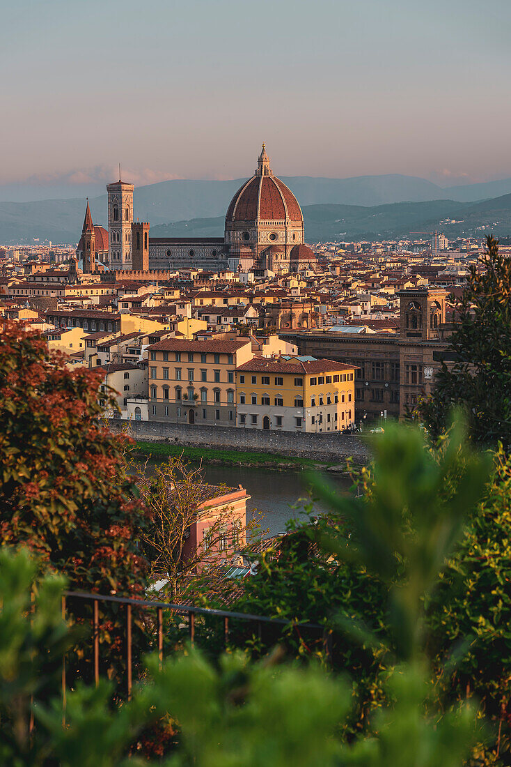 View from the rose garden Giardino delle Rose, Florence city panorama below from Piazzale Michelangelo, Tuscany, Italy, Europe