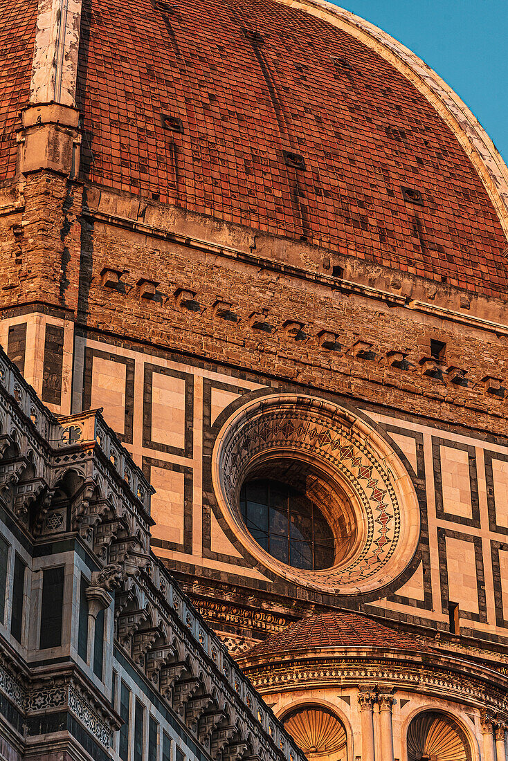 Blick vom Glockenturm Campanile des Doms auf Kuppel, Duomo Santa Maria del Fiore, Dom, Kathedrale, Florenz, Toskana, Italien, Europa