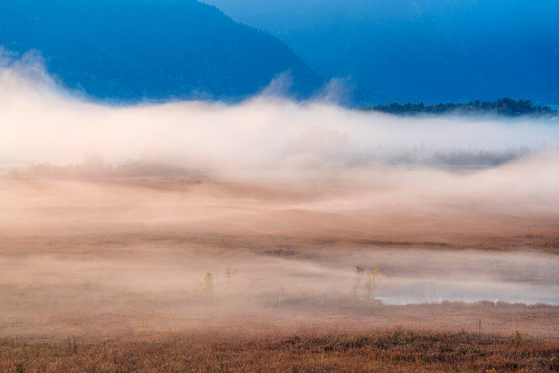 Nebel im Murnauer Moos, Murnau, Oberbayern, Bayern, Deutschland