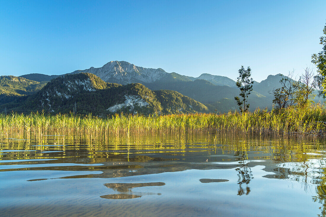 Blick über den Kochelsee zum Herzogstand (1.731 m), Schlehdorf, Oberbayern, Bayern, Deutschland