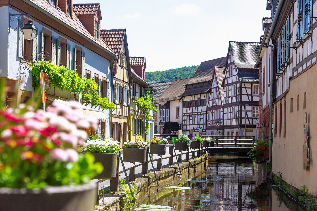 Water lane with half-timbered houses on the Queich in the historic tanning district in the Staufer town of Annweiler am Trifels, Rhineland-Palatinate, Germany