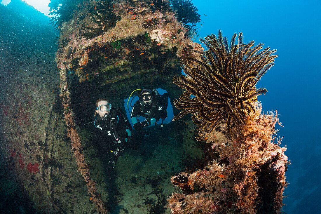 Taucher am Heck des Maldive Victory Wrack, Hulhule, Nord Male Atoll, Malediven