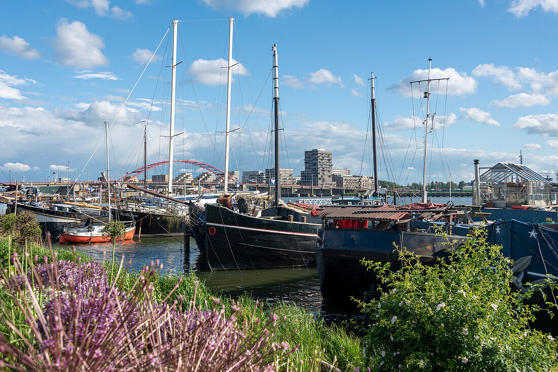 Hausboote am Schellingwouderdijk, Amsterdam, Noord-Holland, Niederlande