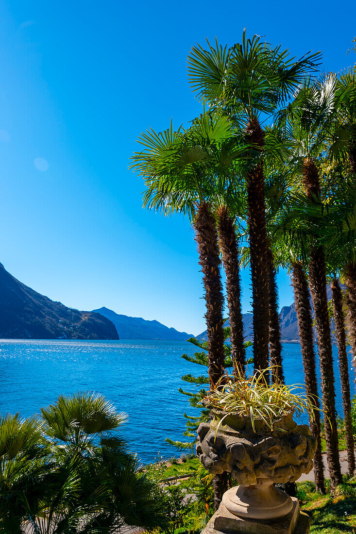 Luganersee mit Berg und Palme an einem sonnigen Tag mit klarem Himmel in Lugano, Tessin, Schweiz.