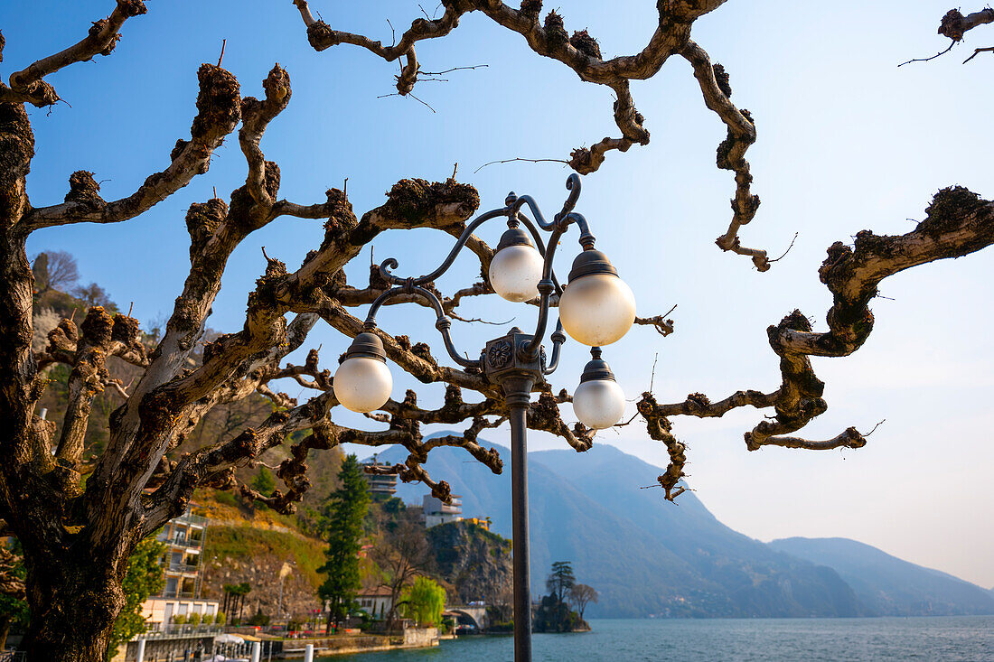 Bare Tree with Street Lamp in City of Lugano and Lake Lugano with Mountain in a Sunny Day in Ticino, Switzerland.