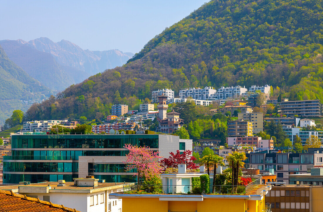 Dachgarten mit Palmen und Pflanzen in der Stadt Lugano mit Blick auf die Berge an einem sonnigen Tag im Tessin, Schweiz.