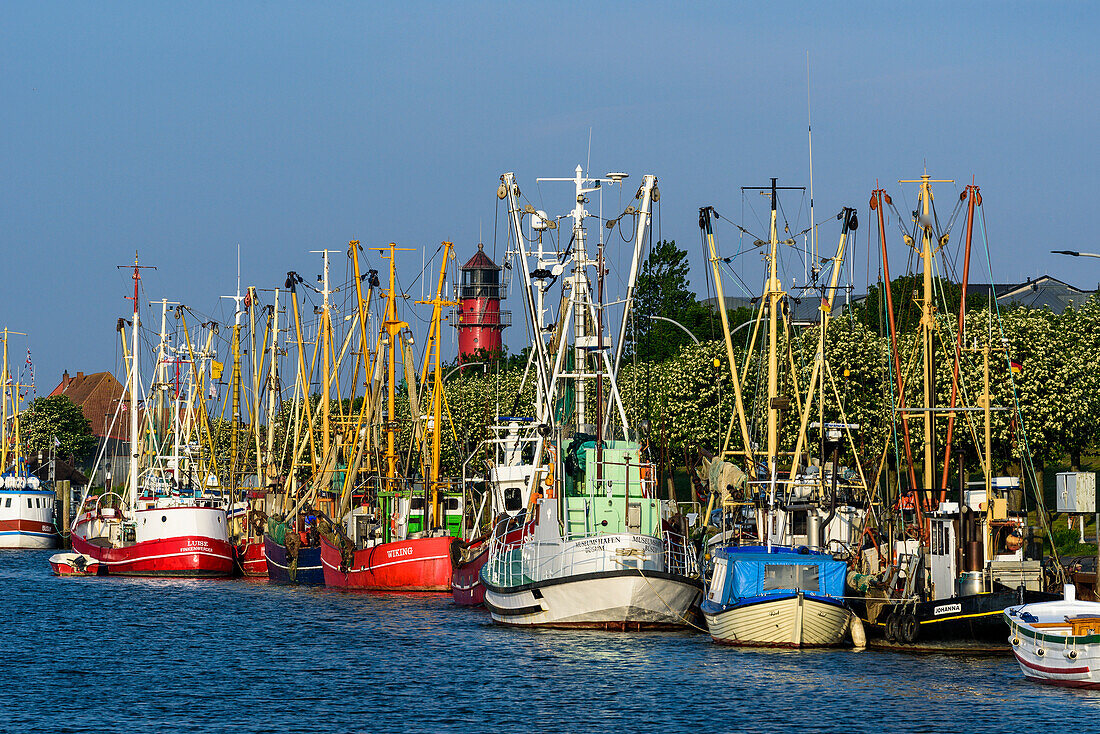 Hafen mit Krabbenkuttern in Büsum, Dithmarschen, Nordseeküste, Schleswig Holstein, Deutschland, Europa