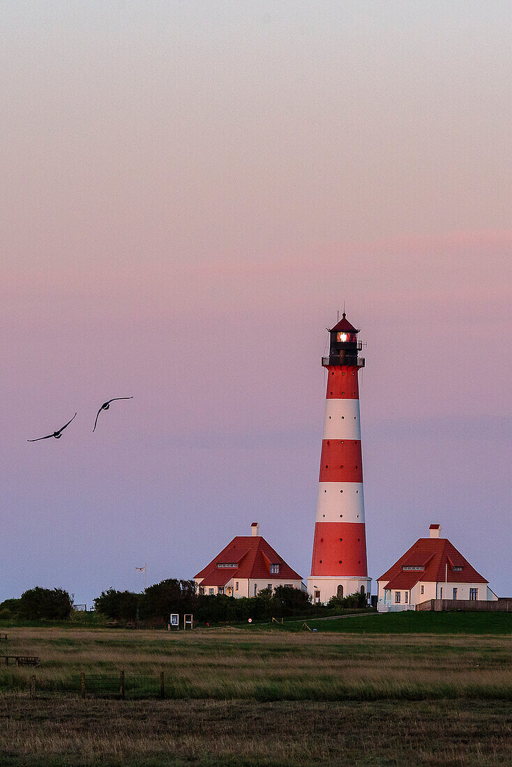 Fliegende Gänse vor Leuchtturm Westerheversand, Halbinsel Eiderstedt, Nordfriesland, Nordseeküste, Schleswig Holstein, Deutschland, Europa