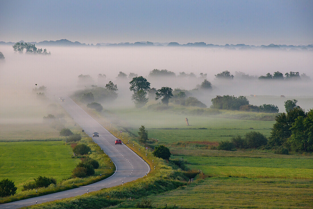 Blick auf Eider Flusstal, Fluss liegt noch im Nebel, Natur und Landschaft an der Eider, Nordfriesland, Nordseeküste, Schleswig Holstein, Deutschland, Europa