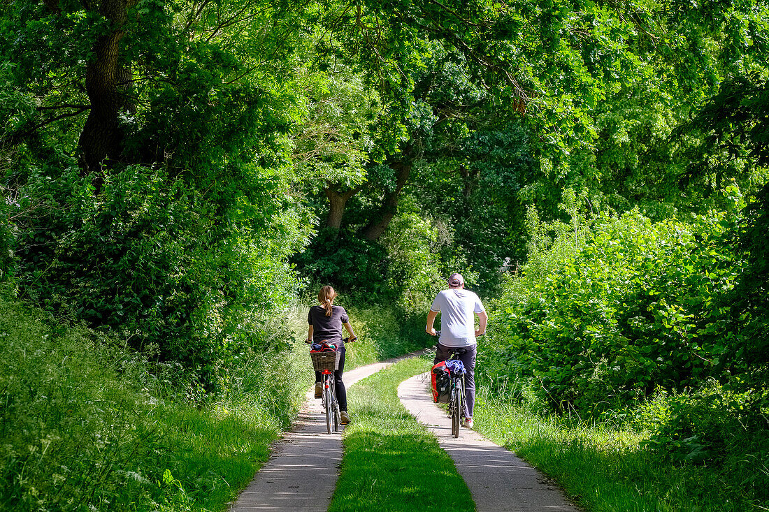 Cycling along the Eider, nature and landscape along the Eider, North Friesland, North Sea Coast, Schleswig Holstein, Germany, Europe