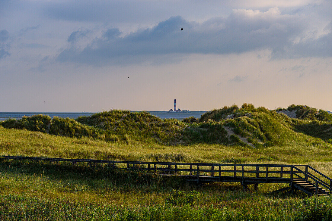 Dünenlandschaft am Strand von St. Peter Ording, Westerhever Leuchtturm im Hintergrund, Nordfriesland, Nordseeküste, Schleswig Holstein, Deutschland, Europa