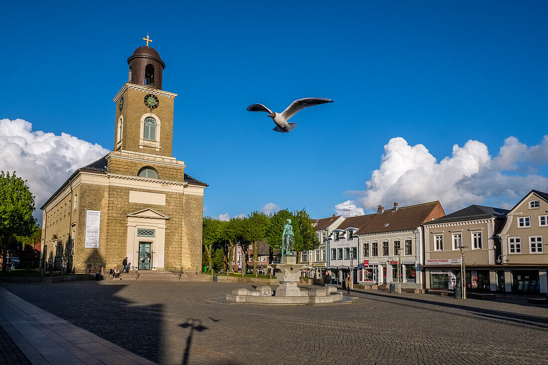 Approaching seagull, church on the market square, Husum, North Friesland, North Sea coast, Schleswig Holstein, Germany, Europe