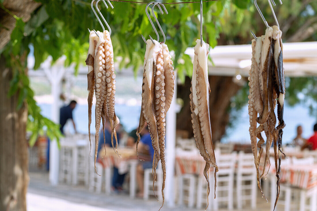 Freshly caught squid drying in the sun in front of the Akrogiáli taverna on Balos beach on the island of Samos in Greece