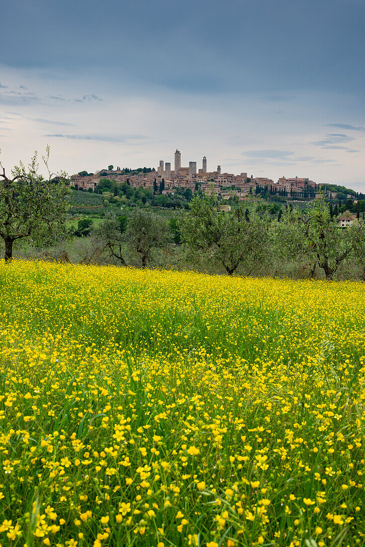 San Gimignano, Toskana, Italien, Europa