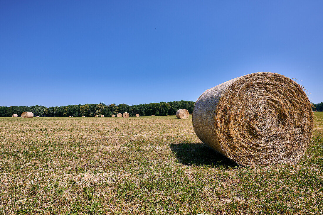 Straw bales on a field after harvest in summer, Bruchhausener Heide, Unkel, Rhineland-Palatinate, Germany