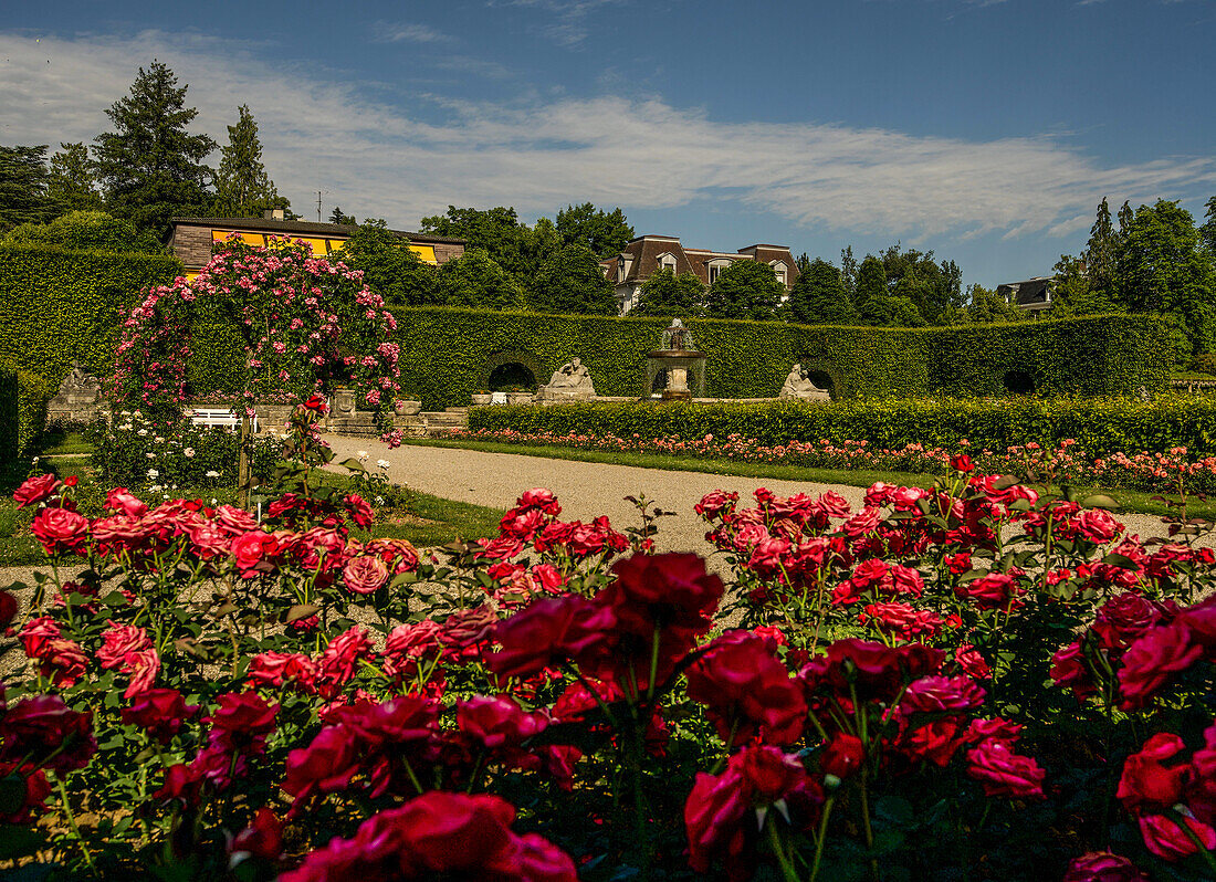 Rose beds in the Gönneranlage with a view of the Josephinenbrunnen fountain, Baden-Baden, Germany