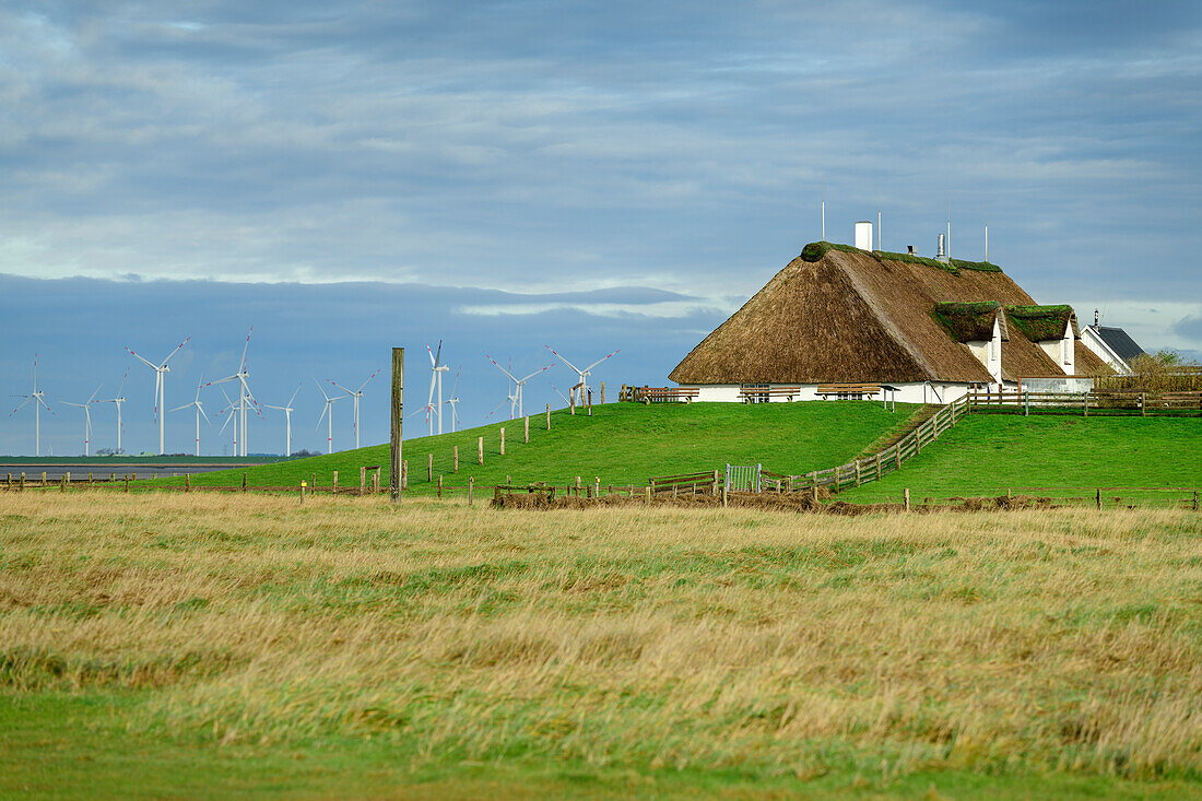Hamburger Hallig with wind turbines in the background, Wadden Sea National Park, Schleswig-Holstein, Germany