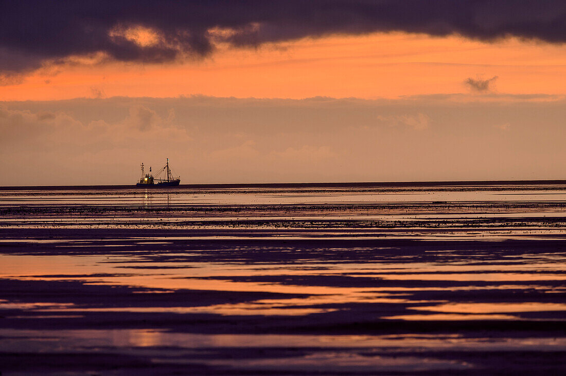 Schiff fährt bei Abenddämmerung vor Westerhever, Westerheversand, Westerhever, Nationalpark Wattenmeer, Schleswig-Holstein, Deutschland