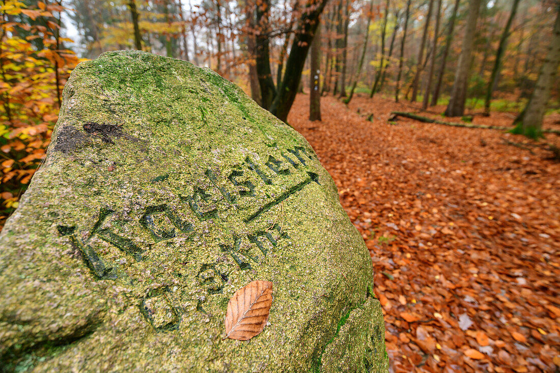 Signpost to the Karlstein, Heidschnuckenweg, nature reserve beech forests in the Rosengarten, Rosengarten state forest, Lower Saxony, Germany