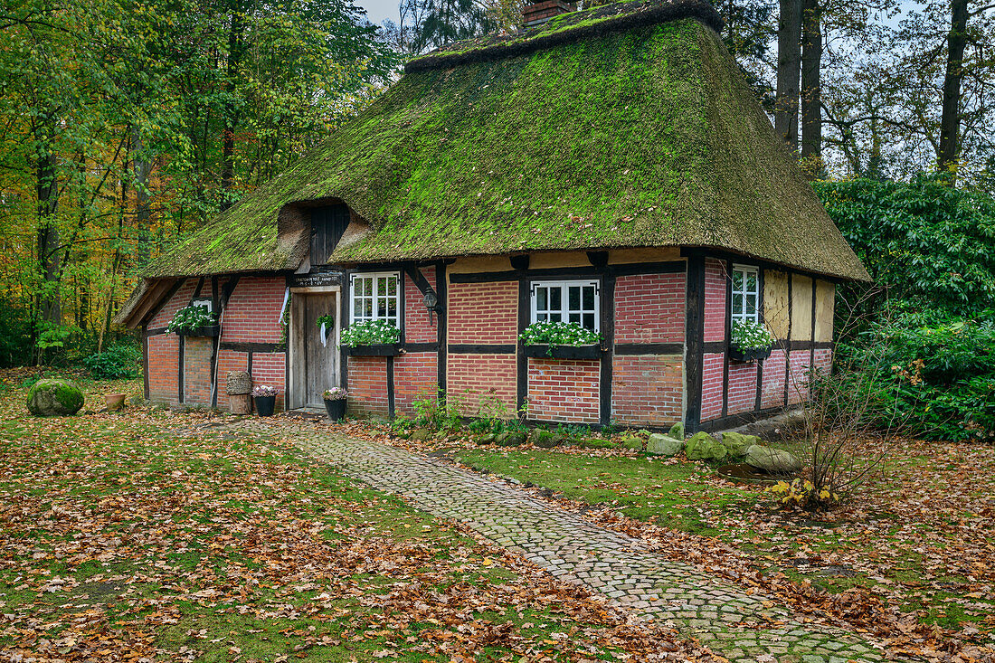 Witch's house in Wesel, half-timbered house, Wesel, Heidschnuckenweg, Lüneburg Heath, Lower Saxony, Germany