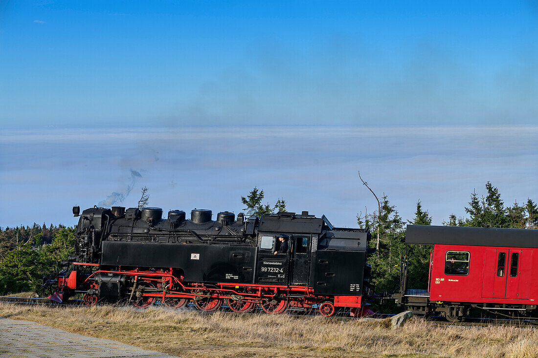 Lok der Dampfeisenbahn am Brocken, Brockenbahn, Harz, Nationalpark Harz, Sachsen-Anhalt, Deutschland