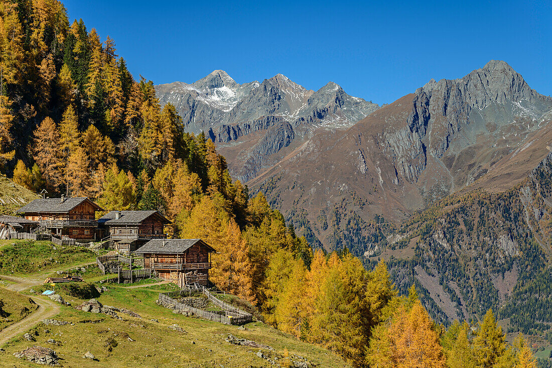 Arnitzalm mit herbstlichem Lärchenwald, Hoher Eichham und Mittereggspitze im Hintergrund, Virgental, Hohe Tauern, Nationalpark Hohe Tauern, Osttirol, Österreich