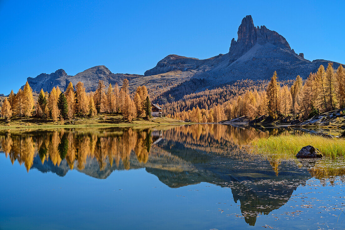 Bergsee Lago Federa mit herbstlich verfärbten Lärchen und Becco di Mezzodi im Hintergrund, Lago Federa, Dolomiten, UNESCO Weltnaturerbe Dolomiten, Venetien, Venezien, Italien