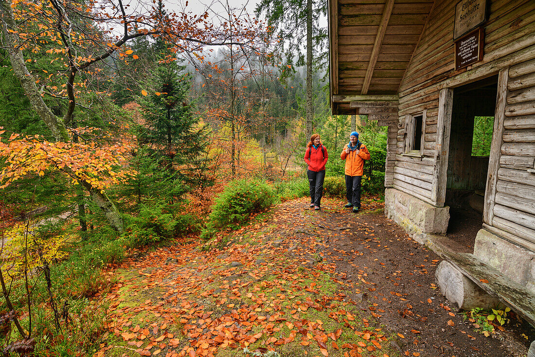 Man and woman hiking past forest hut, Ellbachsee, Black Forest National Park, Black Forest, Baden-Württemberg, Germany